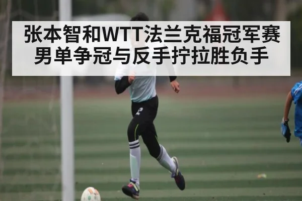 张本智和WTT法兰克福冠军赛男单争冠与反手拧拉胜负手